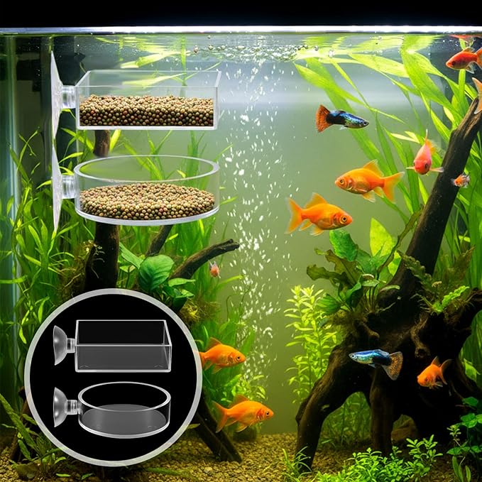 2Pcs Shrimp Feeding Dish, Aquarium Feeding Dish with Suction Cup Acrylic Fish Food Feeder for Freshwater and Saltwater Tanks Round and Square