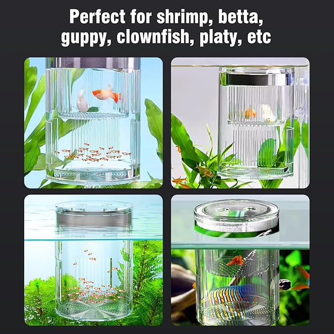 Floating Acrylic Breeder Box for Fish Tank - Aquarium Isolation Separator Hatchery Incubator for Guppy, Betta, Clownfish, Coral, Baby & Injured Fish