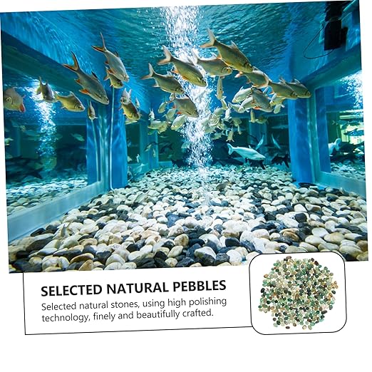 Garneck 1pack Natural Pebble Aquarium Decor Polished Stones for Fish Tanks Flowerpots Landscaping and Use