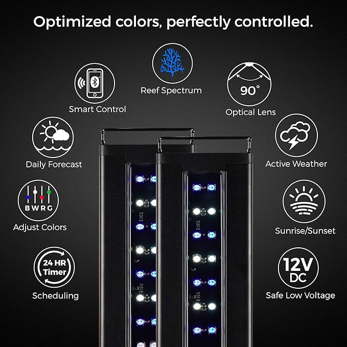 Current USA Dual 72" Inch Orbit Marine PRO IC Loop LED Saltwater Reef Marine Aquarium Light with Bluetooth App Control | Wireless Lighting & eFlux Wave Pump Control for Fish Tank (4338)