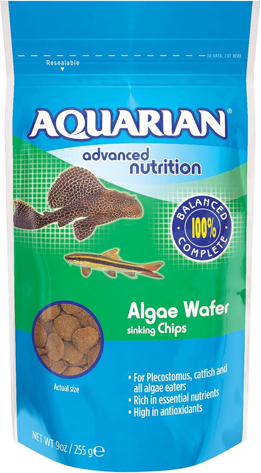 API Aquarian Algae Eater Sinking Algae Chips, 9 Ounce