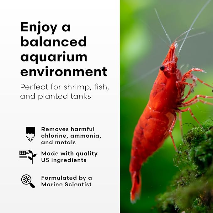 Brightwell Aquatics Shrimp Prep – Water Conditioner for Freshwater Shrimp & Aquariums – Removes Chlorine, Ammonia & Heavy Metals – Promotes Healthy Habitat, 250 ml