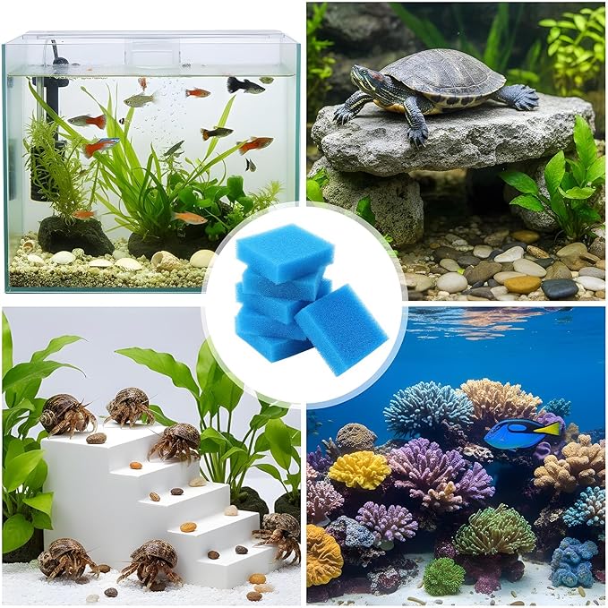 6PCS Aquarium Glass Cleaner Sponge, Non-Scratch Fish Tank Cleaning Sponge Fish Tank Walls Cleaner Tools for Aquarium Glasses 3.2×3.2×1 in