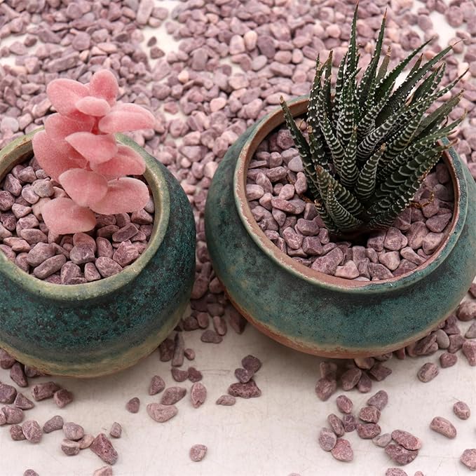 Rocks for Plants.Red Color Decorative Pebbles. 1/5 Inch 10 lbs. for Garden, Landscaping, Indoor, Vase fillers, Crafting, Succulents, pots, Plants (Mini, RED, 10)