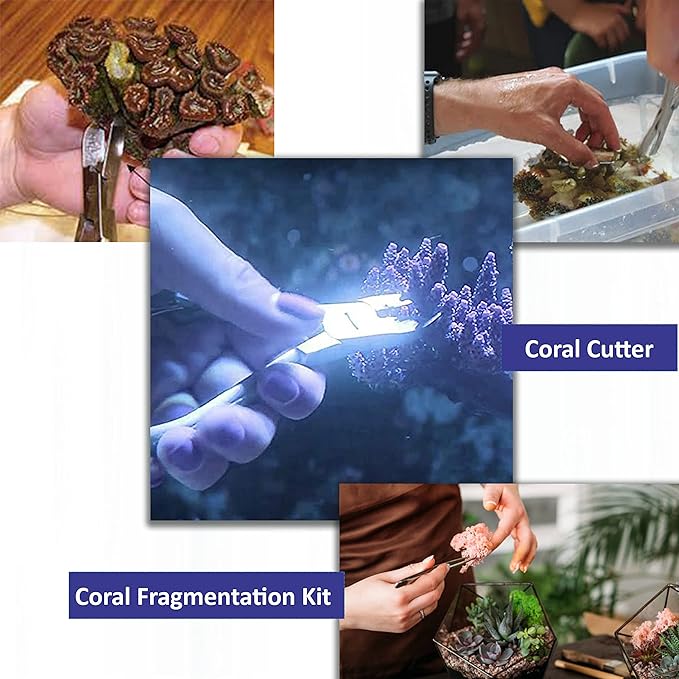 A2ZScilab - Basic Coral Propagation FRAGGING KIT, 16 Pcs Tools for Hard Soft Freshwater Reef, Stainless Steel - Coral Cutter+Knife,Scissors & Foceps for Aquatic Plants,Coral Fragmenting Trim Cleaning