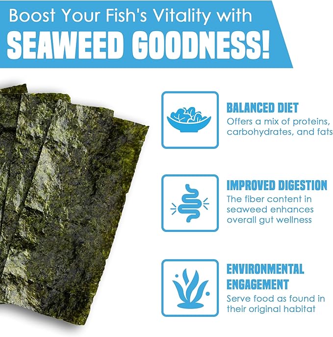 JOR 20 Seaweed Sheets for Tangs, Angels, Plecos, Shrimp, Snails, Nutrient- & Vitamin-Rich, Dried Snack for Bottom Feeders, Increased Palatability for Grazing Fish, 1 oz. Pet Feed