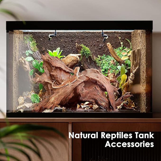 Jorewood Natural Small Aquarium Driftwood for Fish Tanks & Reptile Terrariums – 100% Safe Fish Tank Decorations, Unique Twisted Branches 5-Piece 4-8 Inch Low Tannin, Easy to Sink