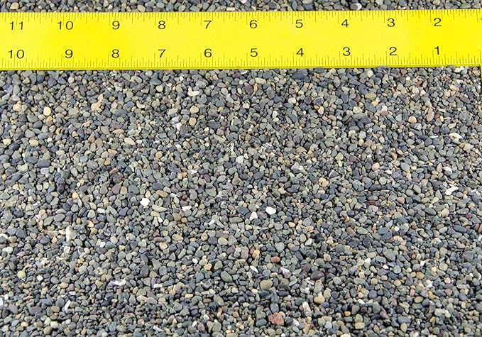 3 Lbs Criva Bean Pebbles for Bonsai Humidity/Drip Tray, Top Dressing, Zen/Fariy Garden, Aquarium & Fish Tank