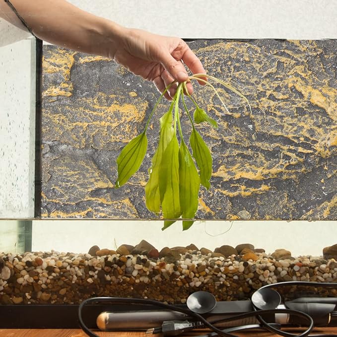 Dragon Decor Terrarium Background 3D Tank Background Board Stereo Backdrop Wall Snake Habitat Decor for Lizard Bearded Dragon Gecko Spider Turtle Fish Glass Containers