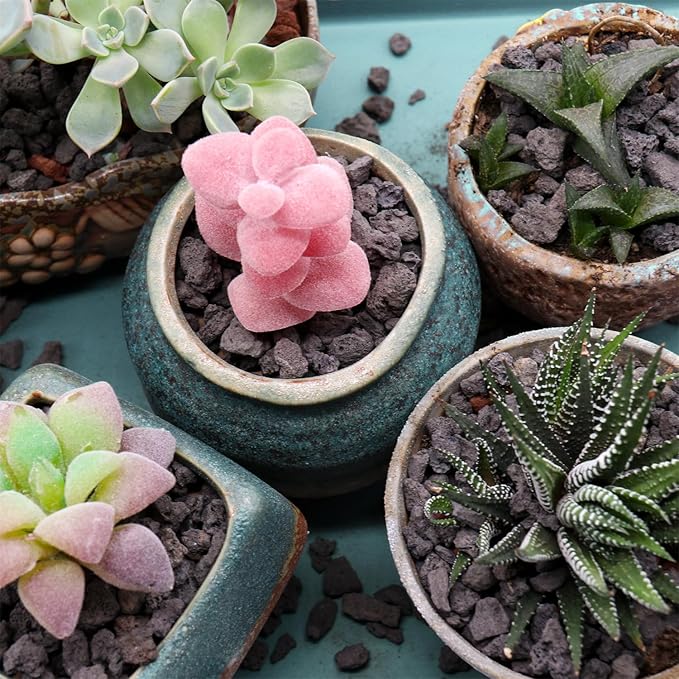Volcanic Rock for Plants. Black Color Lava Rock. 1/5 Inch - 10 lbs for Potting Soil, Succulents, Pots, Plants, Gardening, Indoor, Crafting, Vase Fillers (Mini, Horticultural - Black Lava, 10)