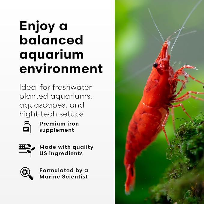 Brightwell Aquatics Florin-Fe Iron Supplement for Planted Aquariums – Dual-Action Iron Source for Plant Growth, Chlorophyll & Vibrant Foliage – Daily Dosing, 500 ml