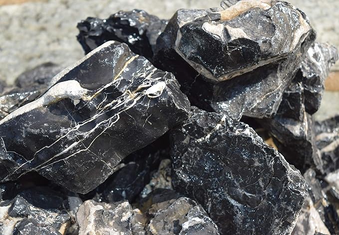 15lb Black Seiryu Stone
