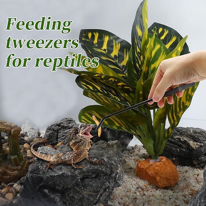 Reptile Feeding Tongs, Stainless Steel Lizard Feeding Tongs, Aquarium Curved Feeding Tweezers for Reptiles with Rubber Tip, Terrarium Feeding Tongs for Gecko, 10.63" Length, Black
