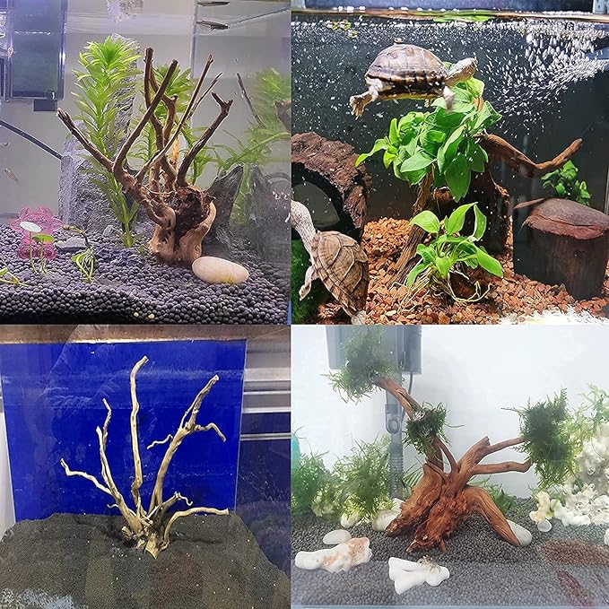 kathson Aquarium Driftwood Reptile Branches Wood Natural Spiderwood Driftwood for Aquarium 5-6" 7 Pcs Terrarium Ornament Trunk Fish Tank Log Habitat Decoration Tree Stump Decor Assorted Sizes Wood