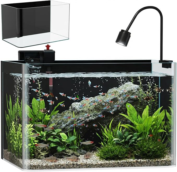 10 Gallon Hot-Bent Black-Back Fish Tank, Aquarium Fish Tank,Easy to Maintain Small Aquarium for Betta/Goldfish/Snails/Shrimp and Aquatic Planting, Perfect for Home, Office, and Decor