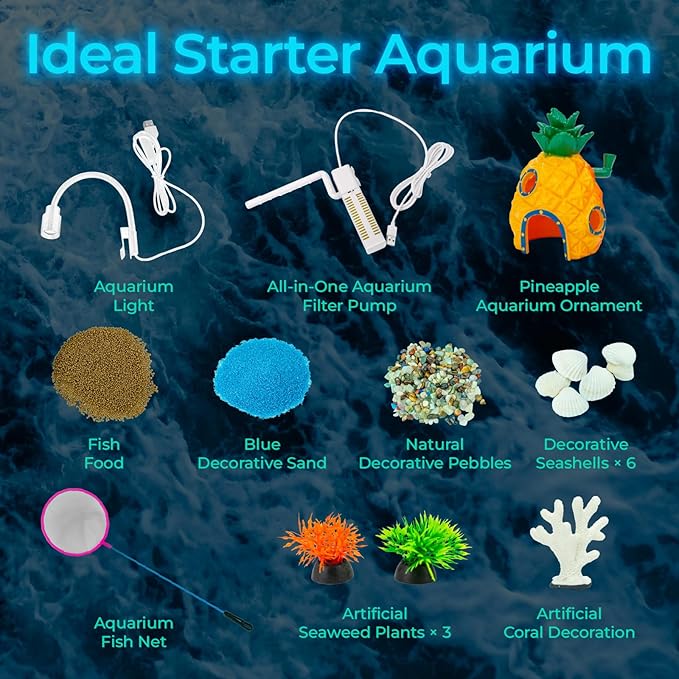 5 Gallon Fish Tank Aquarium Starter Kit with Filter and Light, All in One Small Fish Tank for Betta, Kids & Desktop Use, Self Cleaning Nano Aquarium with Lid(Large White)