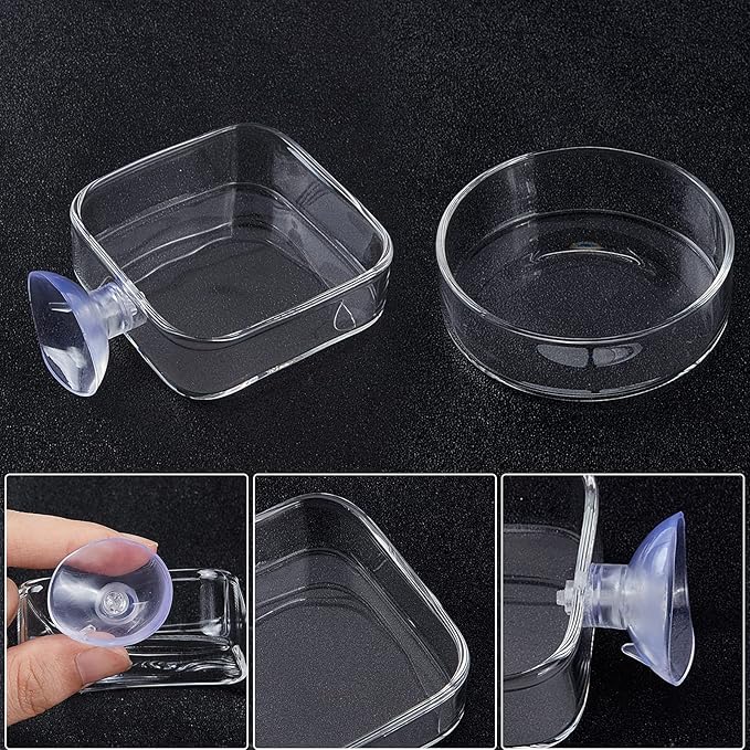 SUPERFINDINGS 4Pcs 2 Styles Transparent Glass Aquarium Shrimp Food Feeder Dish Fish Tank Feeding Bowls Dishes Flat Round Square Clear Feeding Bowl