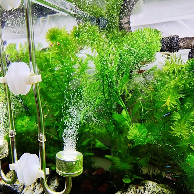 Boao 12 Pcs 32.8 ft Aquarium Co2 Proof Tubing Clear Airline Tubing Co2 Hose 5/16 Inch Suction Cups Aquarium Air Pump Accessories for Fish Tank
