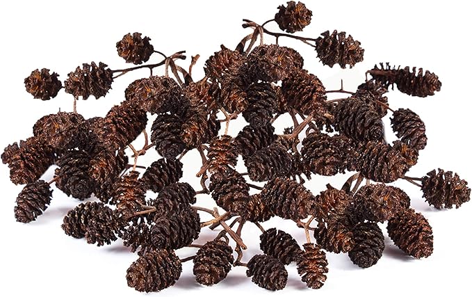 JOR Alder Cone Water Conditioner for Betta Fish, Creates Native Habitat, Relieves Stress, Serves As A Nursery and Food Source, Lowers Water pH, Can Be Used in Filter Or Freely in Aquarium, 60 pcs