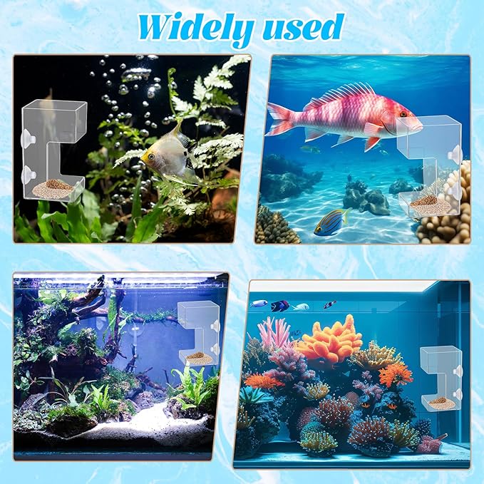 Fish Tank Feeding Tray Fish Tank Feeder Tray Aquarium Feeding Dish with Suction Cup 3.9x2.4 Inch Feeding-Tube Ring Container Holder Dispenser for Shrimp Turtle