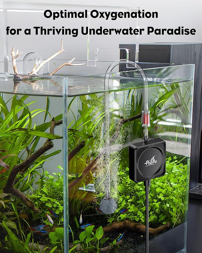 Pawfly Nano Silent Aquarium Air Pump, Mini Bubbler with Accessories, 1.3 W Portable Oxygen Aerator for 1-15 Gallon Fish Tanks, 450 mL/min