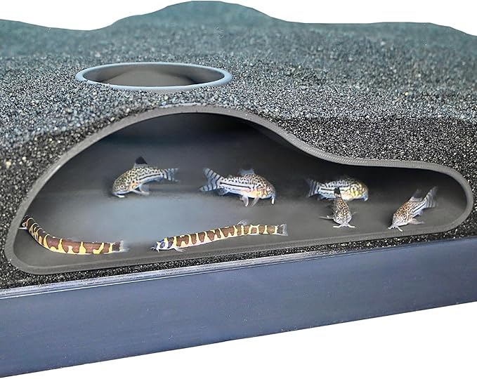 Lucky Critter Aquarium Underground Tunnel Cave Natural Curve | Viewing Fish & Shrimp Under Gravel Tunnel | Fish Tank Decor Decoration Hideout Perfect for Corydora Catfish, Kuhli Loach, Pleco