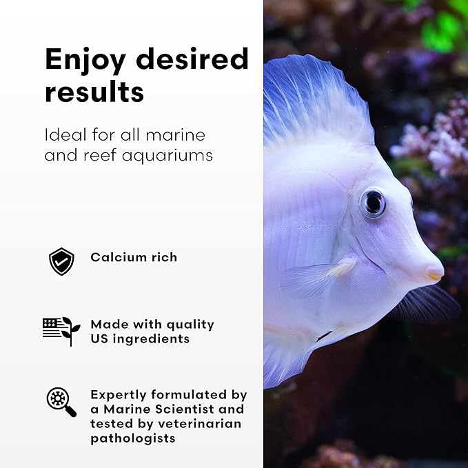 Brightwell Aquatics Calcion - Concentrated Ionic Calcium Supplement for Reef & Saltwater Aquariums Supports Coral Growth Aragonite Formation No Phosphate, 500 ml
