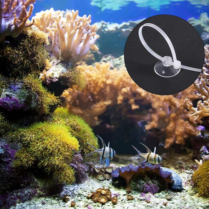 Thinp 30 Pcs Aquarium Suction Cups with 30 Pcs Adjustable Cable Ties, Clear Fish Tank Suctions Cups-Small Suction Cups for Aquarium Plants Planter Moss Shrimp Nest