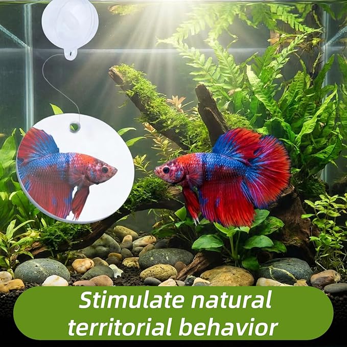 2 Pcs Betta Fish Exercise Ring & Mirror Set, Floating Enrichment Toys with Feeding Ring for Betta Tank, Training & Play Accessories to Prevent Boredom, Safe Aquarium Decor for Beta Fish