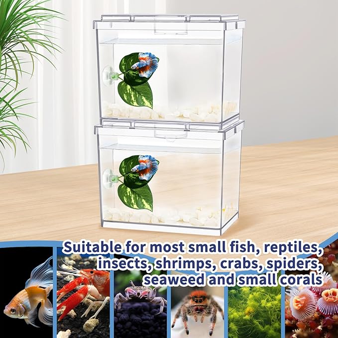 MoonOrange Mini Betta Fish Tank, Small Fish Bowl for Temporary Space, 0.2 Gallon Stackable Cube Tank with Betta Leaf and Gravels for Small Fish, Insect, Shrimp, Crab, Spider.(Pack-2)