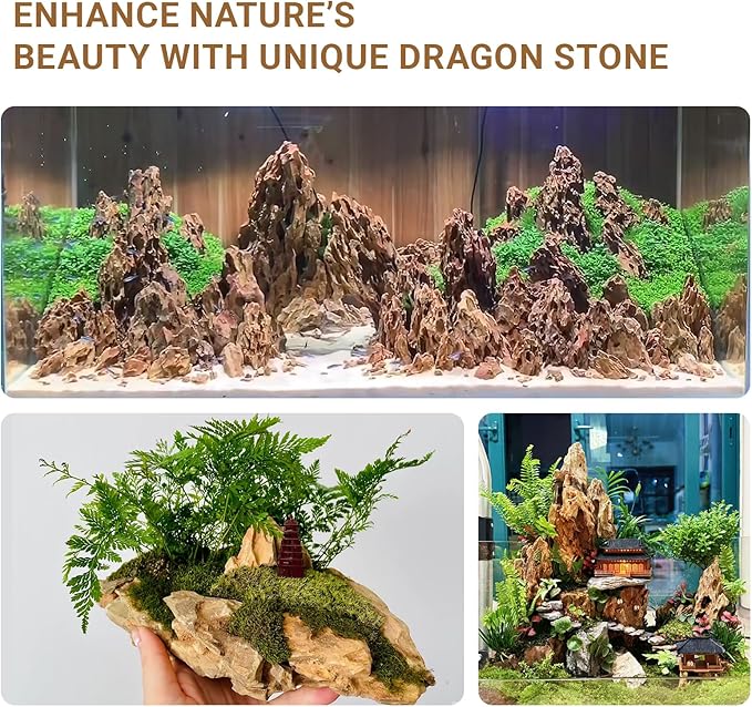 Dragon Rocks Aquariums Stones Natural Rocks for Aquascaping, Aquariums, Terrariums, Vivariums Decorative Stone,Reptile Enclosures,Paludariums,and Gardens-10lb（2 to 7 inch）