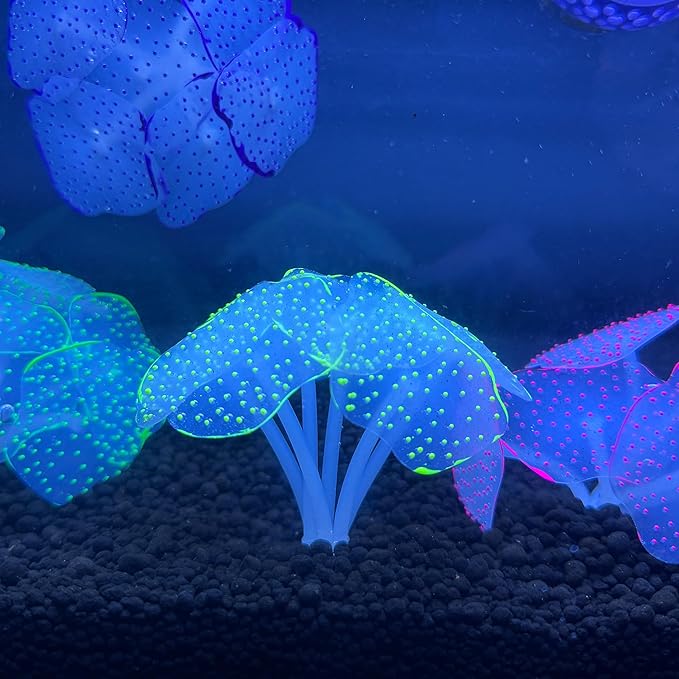 CTWPets Glowing Artificial Coral Aquarium Decoration – Starlight Feather Silicone Ornament – UV & Blue Light Reactive Fish Tank Decor (Glowing Orange)