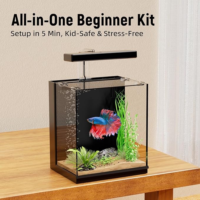 Betta Fish Tank, 2 Gallon Beta Fish Aquariums with Filtration, All-in-One Fish Tanks for Beginners