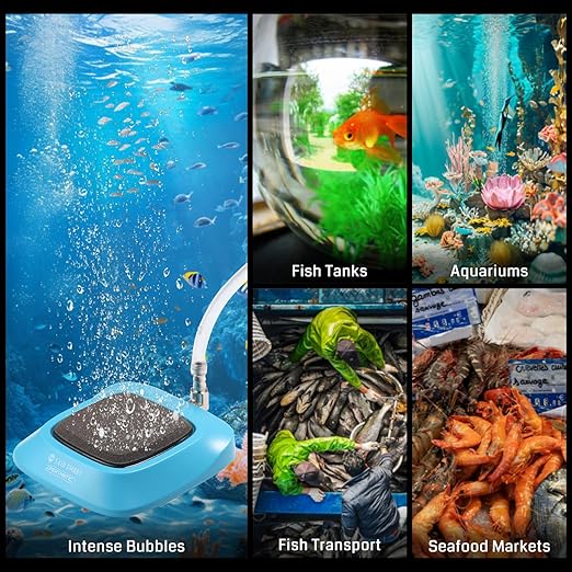 XpertMatic Aquarium Air Stone, 2 Inch Fish Tank Air Stone Disc, Nano Aquarium Bubble Stone, Ultra-High Dissolved Bubbler Airstone for Aquarium Fish Tank, and Hydroponic, SainSmart Air Pump Accessories