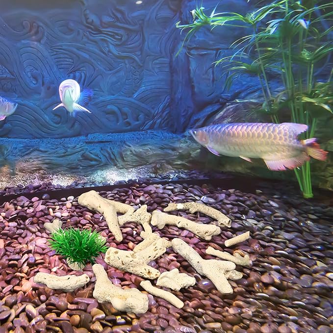 Ipetboom 3-10Cm Fish Tank Filtration Material Natural Coral Stones Aquarium Gravel Decorative Landscape Stone Betta Fish Tank Accessories 1.77X1.77X1.18In 500G