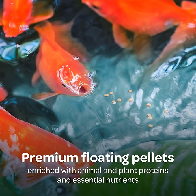 Kaytee Koi's Choice Koi Floating Fish Food, 25 Pound