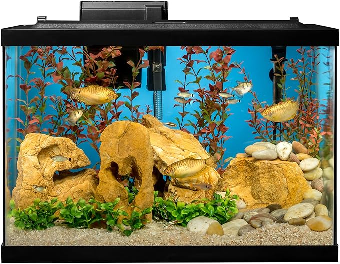 Tetra Aquarium, 20 Gallon, Complete Tropical Fish Tank Kit With LED Lighting And Decor For Freshwater Fish