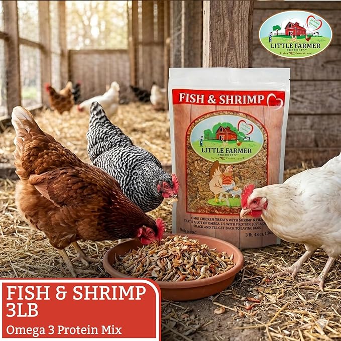 Fish & Shrimp Chicken Treats, Dried Shrimp and Freeze Dried Minnows with Omega 3 and Calcium, Natural Chicken Snacks for Chickens and Ducks – 3 lb