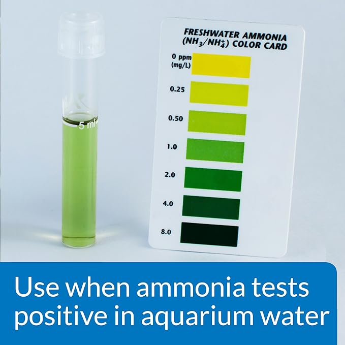 API AMMO-LOCK Freshwater and Saltwater Aquarium Ammonia Detoxifier 4-Ounce Bottle, AMMO LOCK, 4 OZ