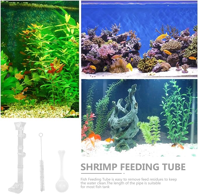 Fish Feeder Tubes 3pcs Aquarium Shrimp Feeding Tool Precise Automatic Feeding for Fish Tanks