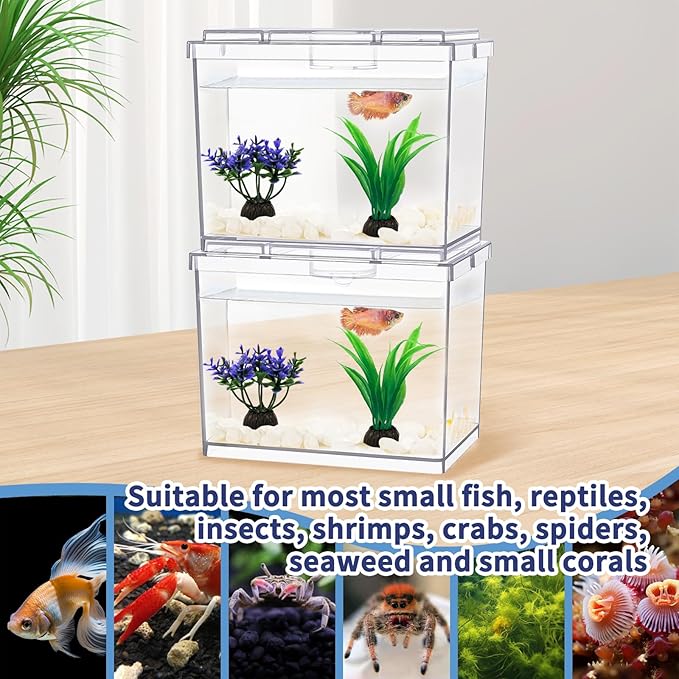 MoonOrange Mini Betta Fish Tank, Small Fish Bowl for Temporary Space, 0.2 Gallon Stackable Cube Tank with Artificial Plants and Gravels for Small Fish, Insect, Shrimp, Crab, Spider. (Pack-2)