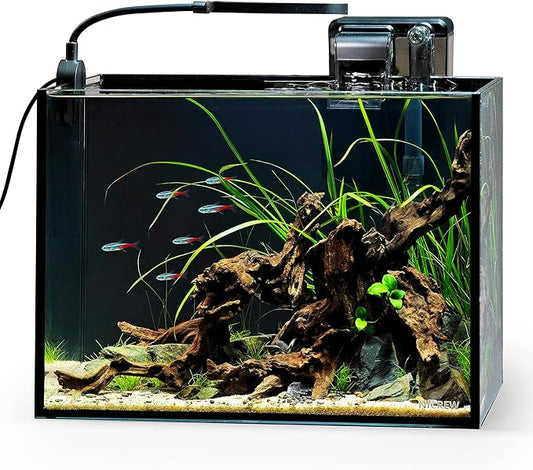 NICREW 2.5 Gallon Nano Nature Aquarium Kit, Ultra-Clear Rimless Desktop Fish Tank with Light and Filter, Perfect for Small Fish, Shrimp, or Betta, Basic Version, Black