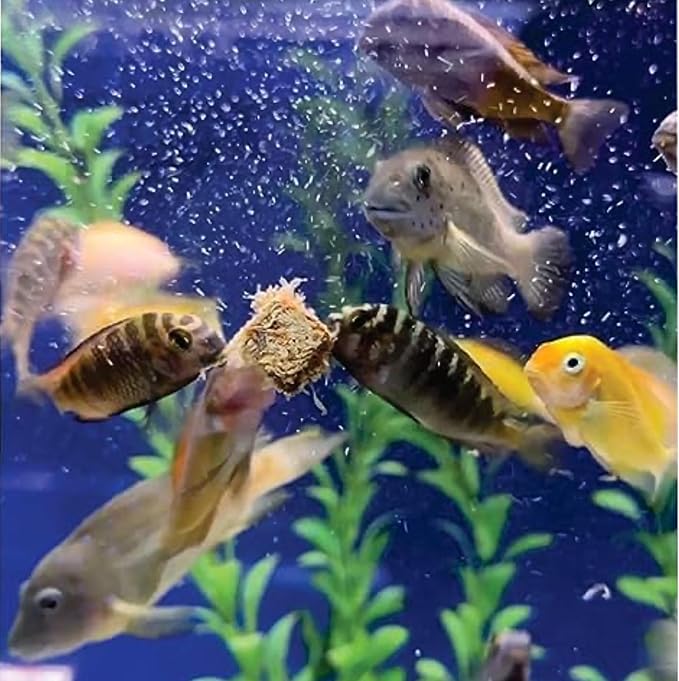 Super Cichlids Freeze Dried Blackworms - Power Boost Mix (Spirulina, Color Boost, Natural) - Great for Marine & Tropical Tanks - High Protein, No Preservatives - Live Alternative Food (75 Grams)