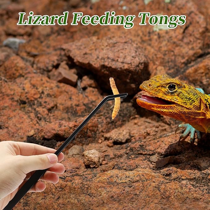 Reptile Feeding Tongs, Stainless Steel Lizard Feeding Tongs, Aquarium Curved Feeding Tweezers for Reptiles with Rubber Tip, Terrarium Feeding Tongs for Gecko, 10.63" Length, Black