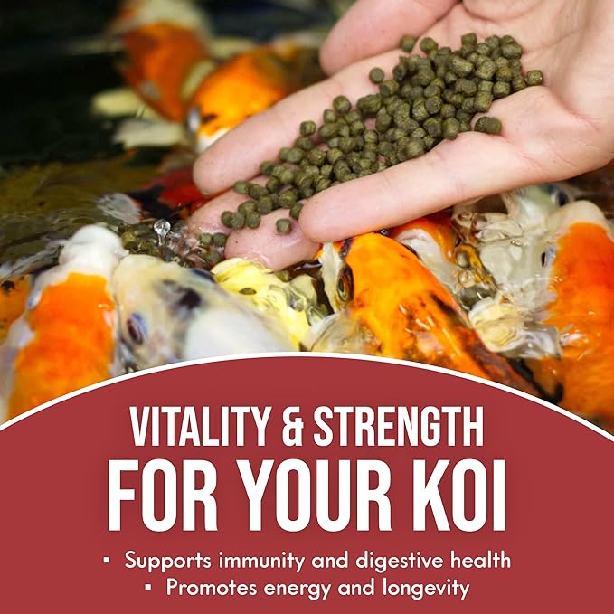 Koi Vital Color Extra Swim Fish Food (6 Pack 2.5lb)