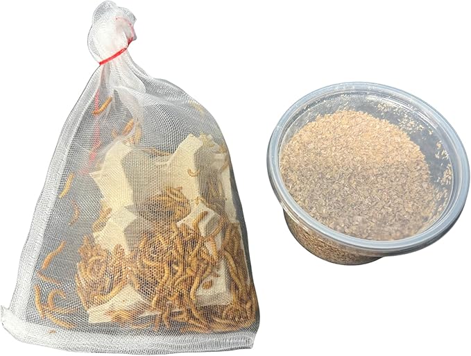 250 Count High Protein Live Mealworms for Reptiles, Amphibians and Birds