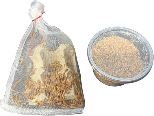 250 Count High Protein Live Mealworms for Reptiles, Amphibians and Birds