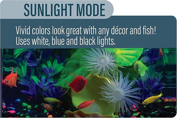 GloFish LED Light 5 Gallons, Blue and White LED Lights, for Aquariums Up to 5 Gallons, Model:29028