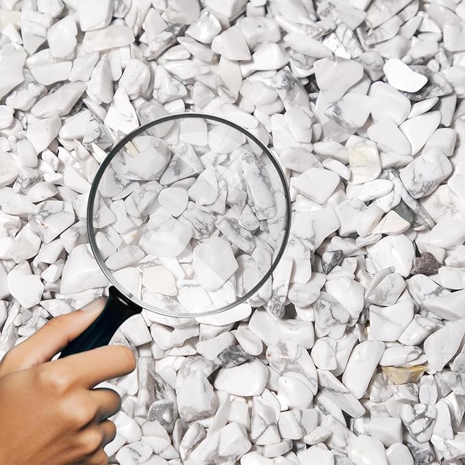 Howlite Crystal Chips 1lb (1200+ Pieces) – 5-8mm Natural Polished Healing Stones for Plants, Aquarium, Crafts, DIY Decor & Gifts
