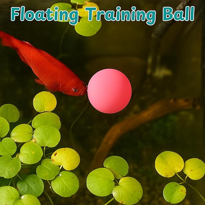 Betta Fish Enrichment Toys Ring with Mirror and Floating Ball, Exercise Mirrors and Training Ring, Floating Mirrors Aquarium with Feeding Rings, Betta Fish Tank Accessories (Pink+Mirror+Ball, 6.4cm)
